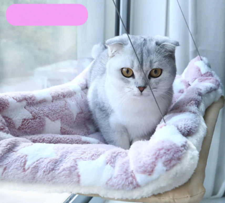 Katten Raam Hangmat