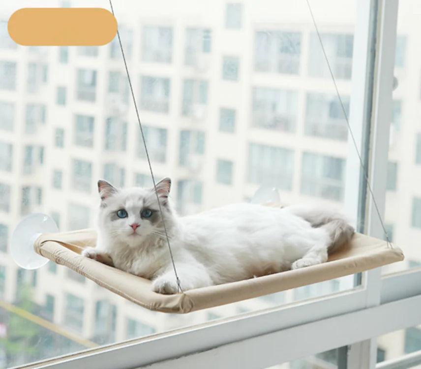 Katten Raam Hangmat