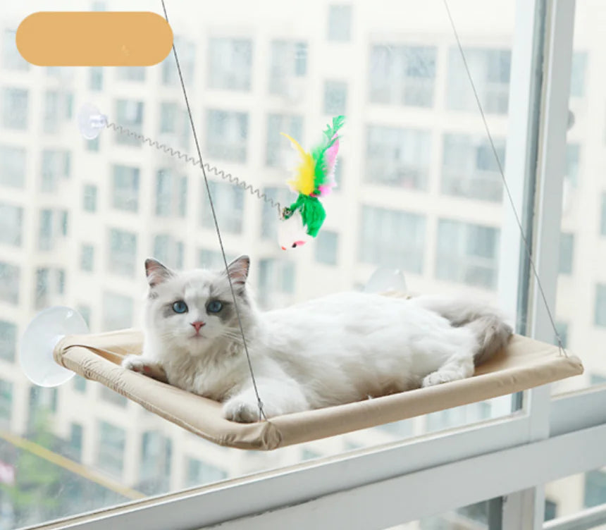 Katten Raam Hangmat