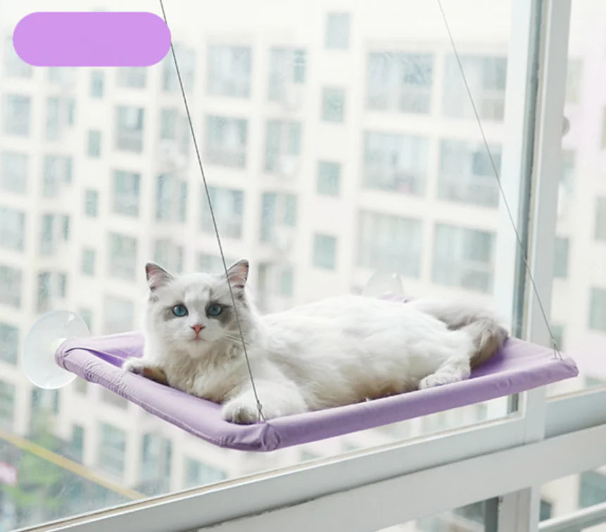 Katten Raam Hangmat