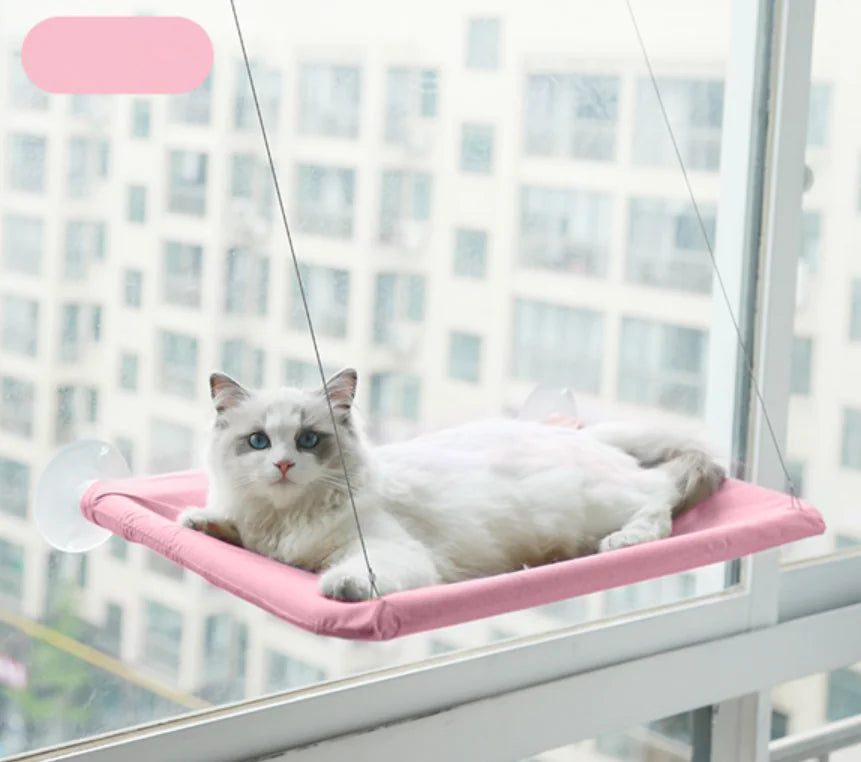 Katten Raam Hangmat