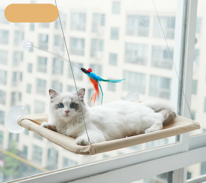 Katten Raam Hangmat
